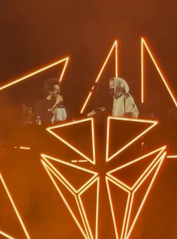 Kartik Aaryan Alan Walker